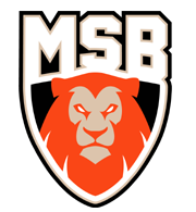 MSB.FR (LOCAL)